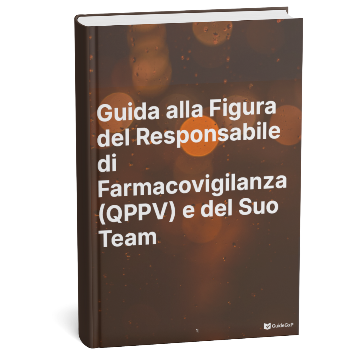 A Guide to the Pharmacovigilance Manager (QPPV) and His Team