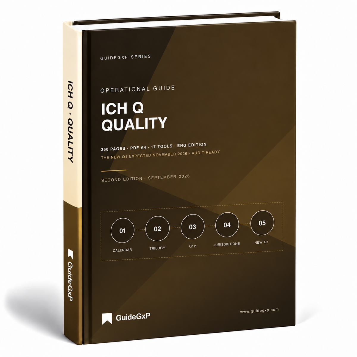 Quality Guidelines ICH Q: che cosa è davvero applicabile, e la readiness al nuovo Q1
