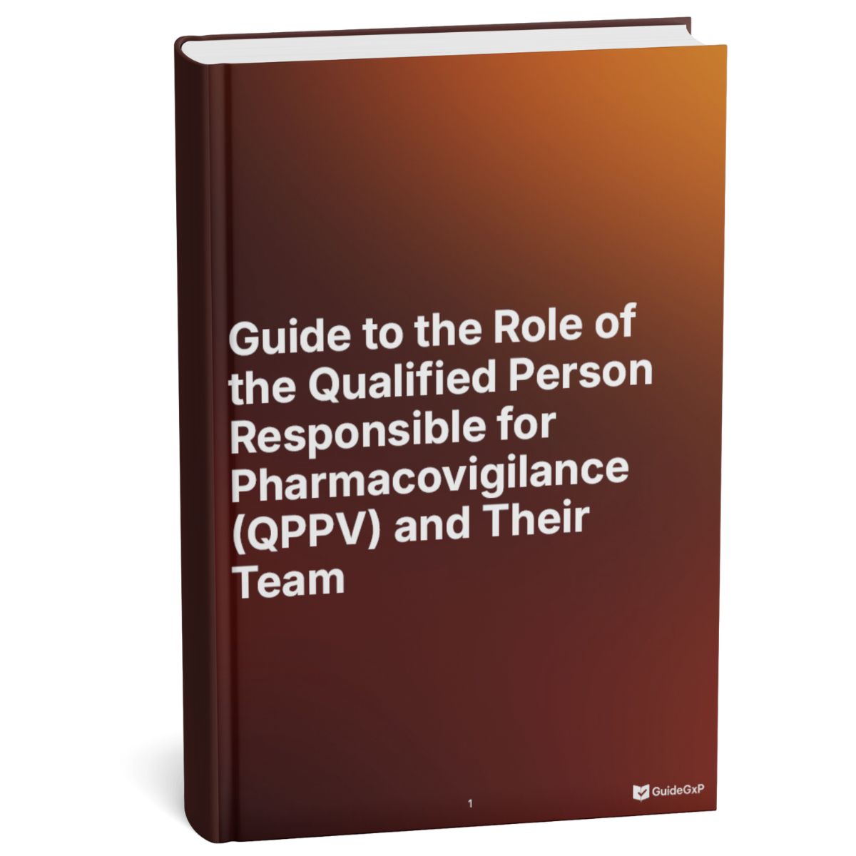 A Guide to the Pharmacovigilance Manager (QPPV) and His Team