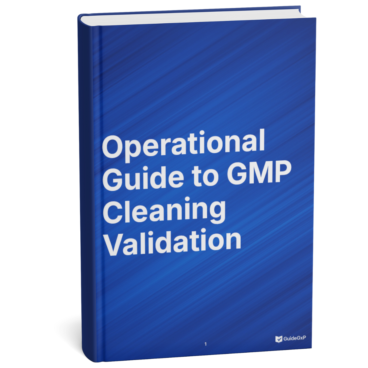 Operational Guide to GMP Cleaning Validation