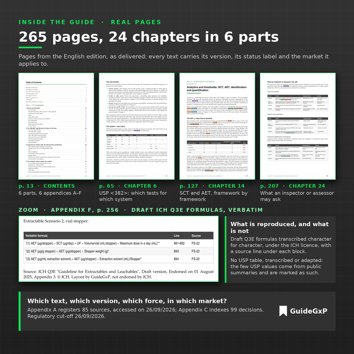 Inside the E&L and USP 382 guide: 265 pages, 24 chapters in 6 parts, sample pages and the draft ICH Q3E AET formulas quoted verbatim in Appendix F